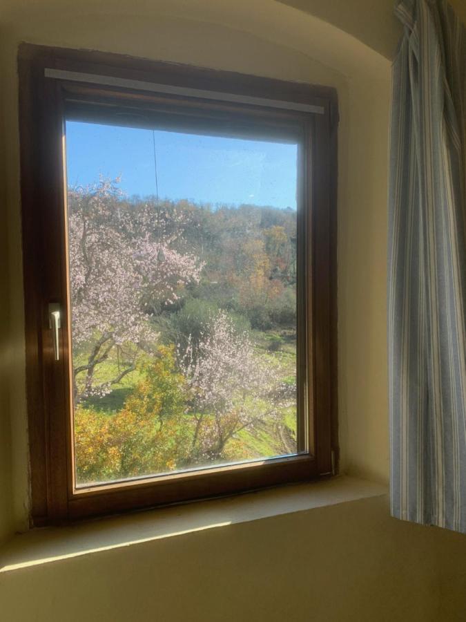 Operaviva Villa Суверето Екстериор снимка